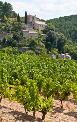 Gite en Ardèche, La gastronomie ardéchoise Gite A l'unisson en Ardèche : La gastronomie ardéchoise
